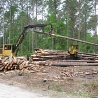 Harvesting Forests