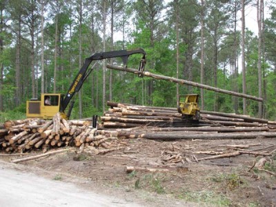 Harvesting Forests