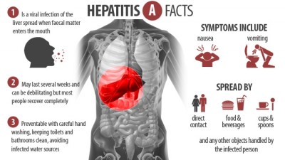 Hepatitis Facts