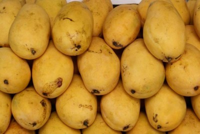 Langra Mango 