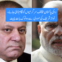 Nawaz Sharif and Narendra Modi