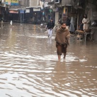 Peshawar Rainfall