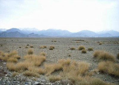 Afghan Wilderness Area 