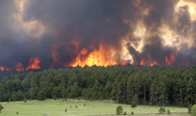 America Forest Fire