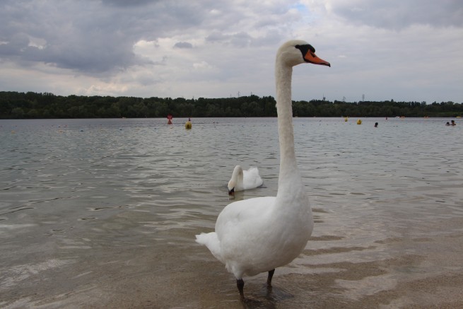 Artificial Beach