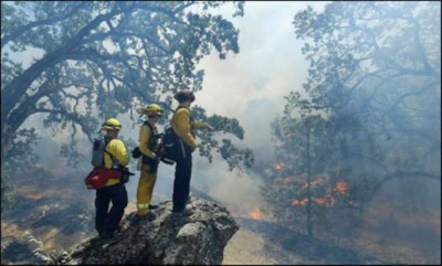 California Fire