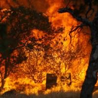 California Forest Fire