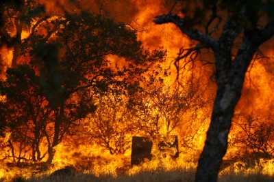 California Forest Fire