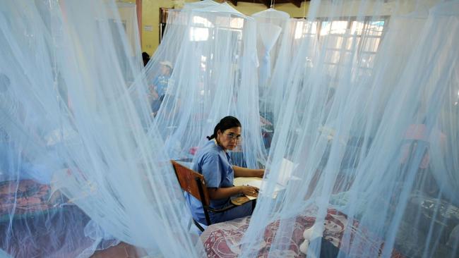 راولپنڈی: ڈینگی زور پکڑنے لگا، 33 افراد مرض کا شکار