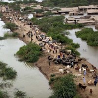 Indus River, Flood Water