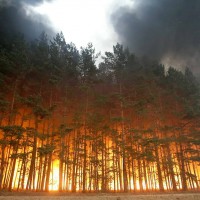 Russian Forests Fire