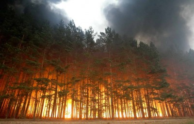 Russian Forests Fire