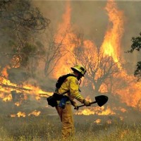 Washington Forests Fire