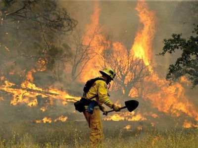 Washington Forests Fire