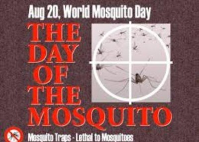 World Mosquito Day