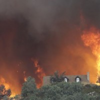 California Frests Fire