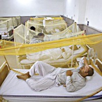 Dengue Patients