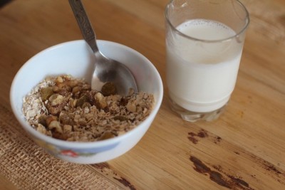 Dry Fruit Milk