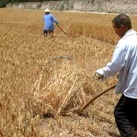 Farmer Relief Package