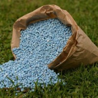 Fertilizers