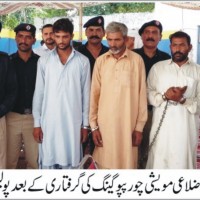 Gujrat Cattle Theft Arrest