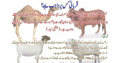 Qurbani