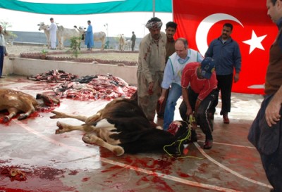 Qurbani