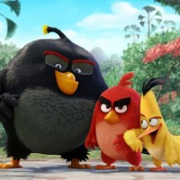 The Angry Birds