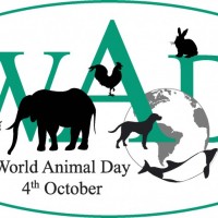 Animals Global day