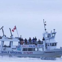 Canada Boat Sank