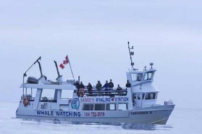 Canada Boat Sank