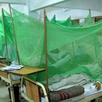 Dengue Patients