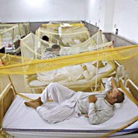 Dengue Patients