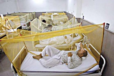 Dengue Patients