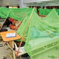 Dengue Virus Patients