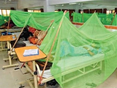 Dengue Virus Patients