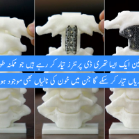 Published Bone Implant