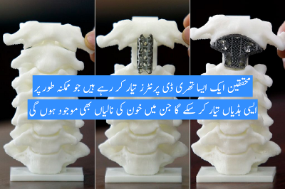 Published Bone Implant