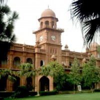 Punjab University College