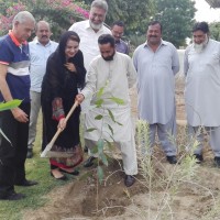 Tree Plantation by Maiza Hameed