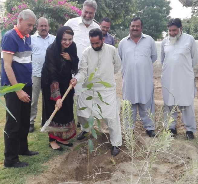 Tree Plantation by Maiza Hameed