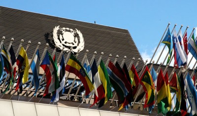 United Nations Organisation