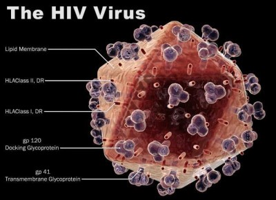 Aids Virus