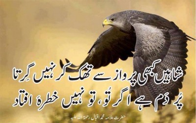 Allama Iqbal Poetry