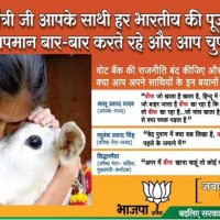 BJP Sectarian Advertisement