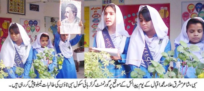 Government Girls High School Sibi Town Allama Iqbal Cremoney