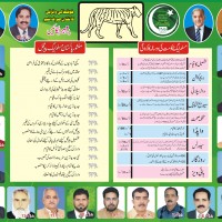 Pir Mahal Election