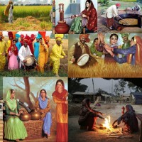 Punjab Culture