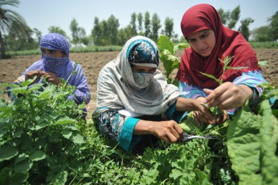 Rural Woman 