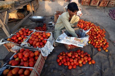 Tomatoes